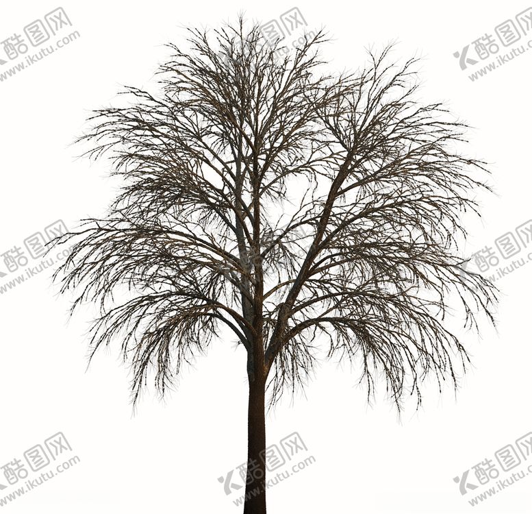 编号：12703310291411376120【酷图网】源文件下载-树林