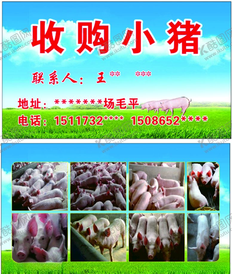 编号：60738409240350118938【酷图网】源文件下载-收购小猪名片