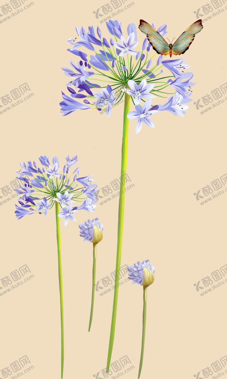 编号：25149010170939551971【酷图网】源文件下载-蒲公英