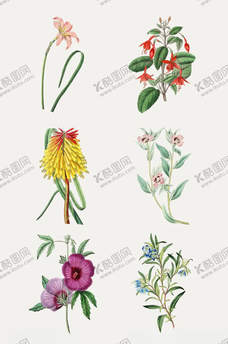 编号：88989502270429594960【酷图网】源文件下载-手绘水彩绿植插画元素