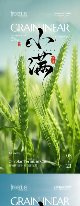 小满节气海报