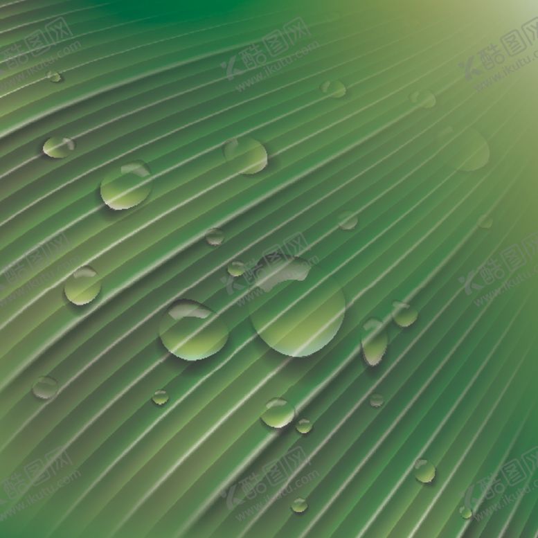 编号：48798409202102136751【酷图网】源文件下载-水珠