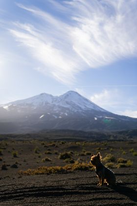 大山风景