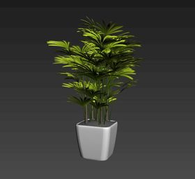 植物3d模型