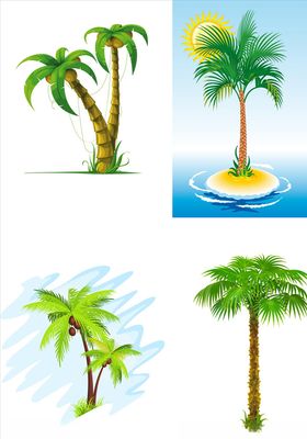 手绘椰子树