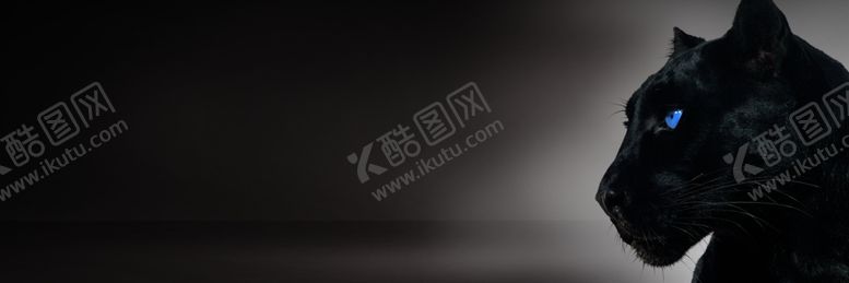 编号：45118509272130599363【酷图网】源文件下载-地产黑豹背景