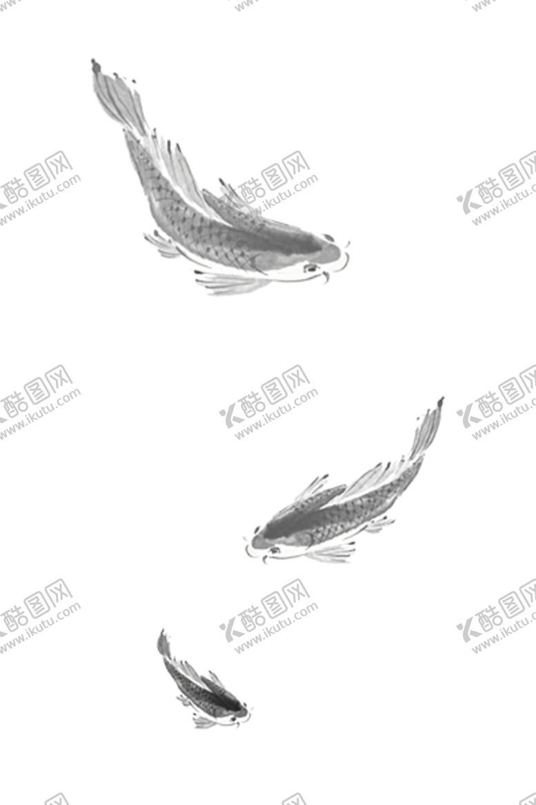 编号：61243110082121026917【酷图网】源文件下载-水墨墨迹鲤鱼