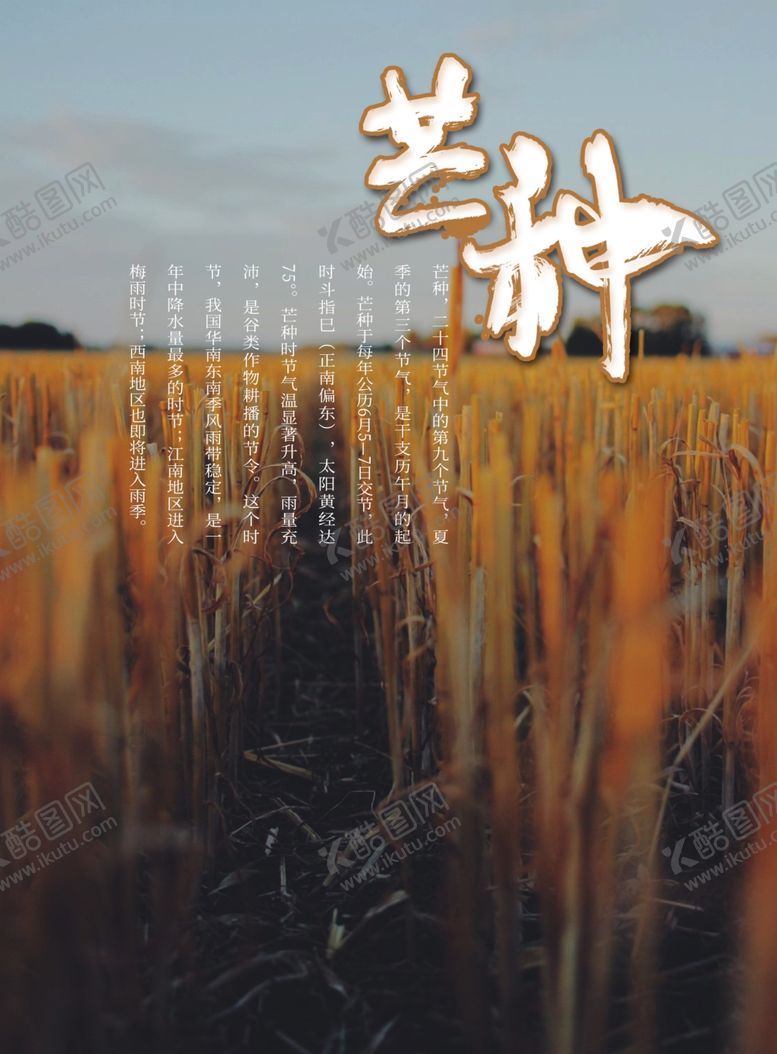 编号：64728610102002558469【酷图网】源文件下载-芒种书法海报