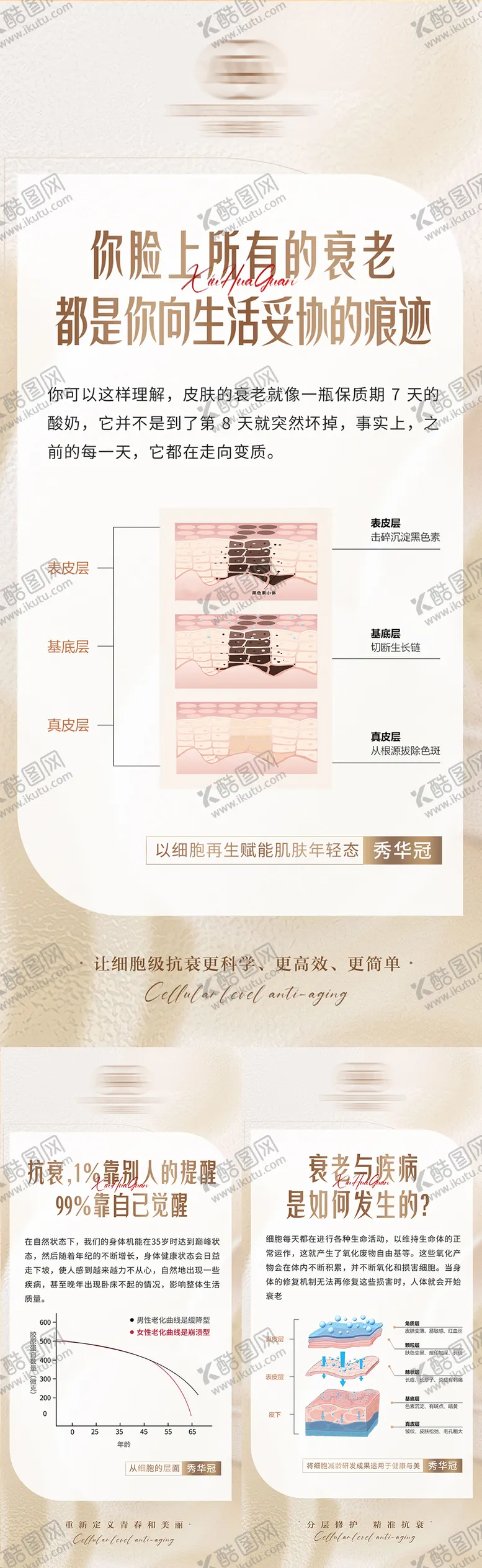 编号：67390405081127312612【酷图网】源文件下载-护肤品产品科普海报