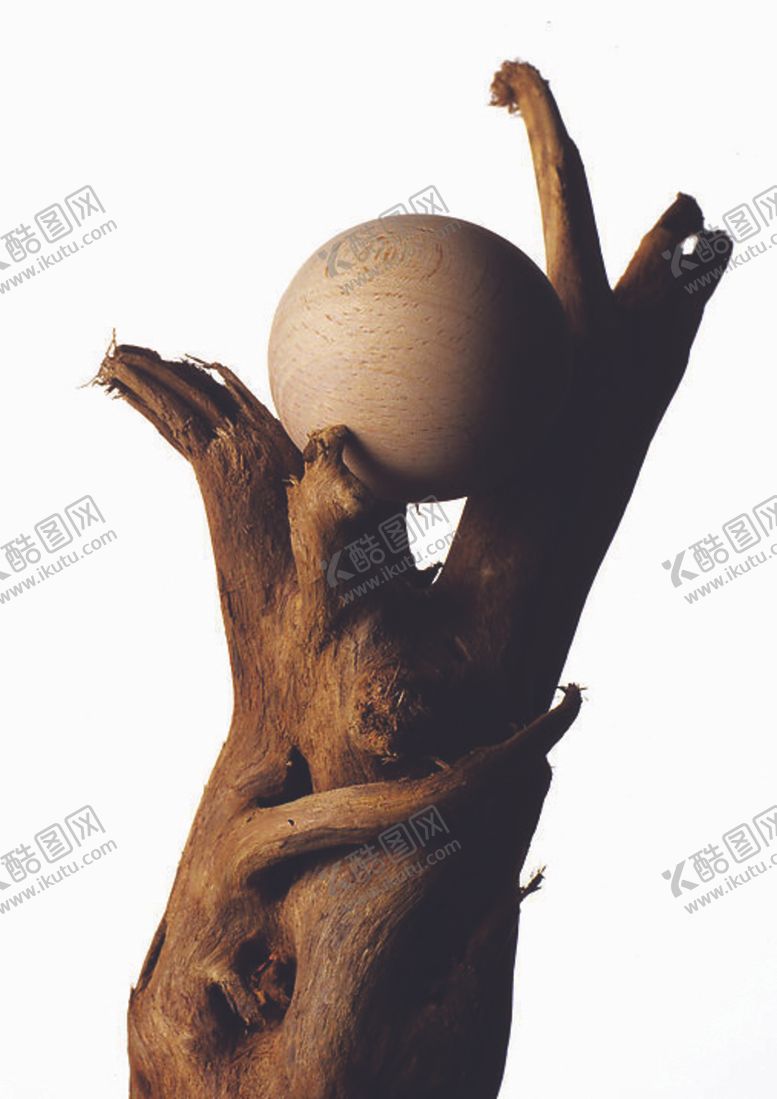 编号：69012505112120505868【酷图网】源文件下载-精美木雕