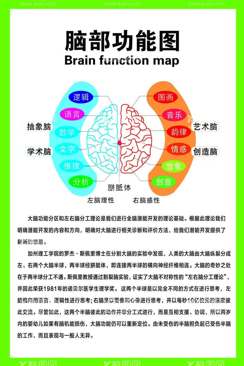 编号：80361903090101437013【酷图网】源文件下载-脑部功能