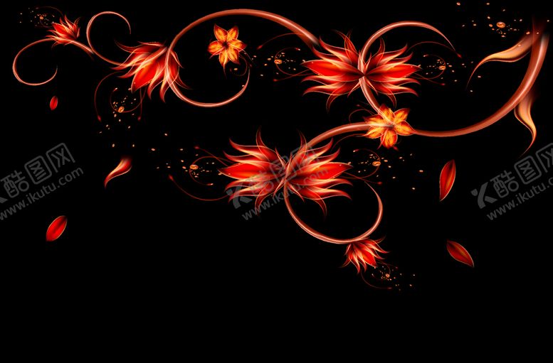 编号：51423610282055352012【酷图网】源文件下载-黑底火焰枫叶花朵