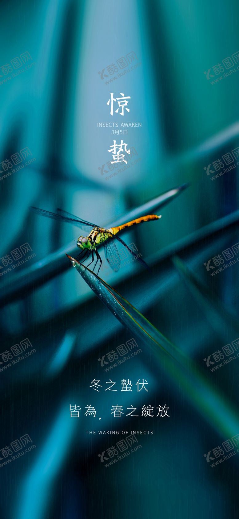 编号：42193007030653586336【酷图网】源文件下载-惊蛰