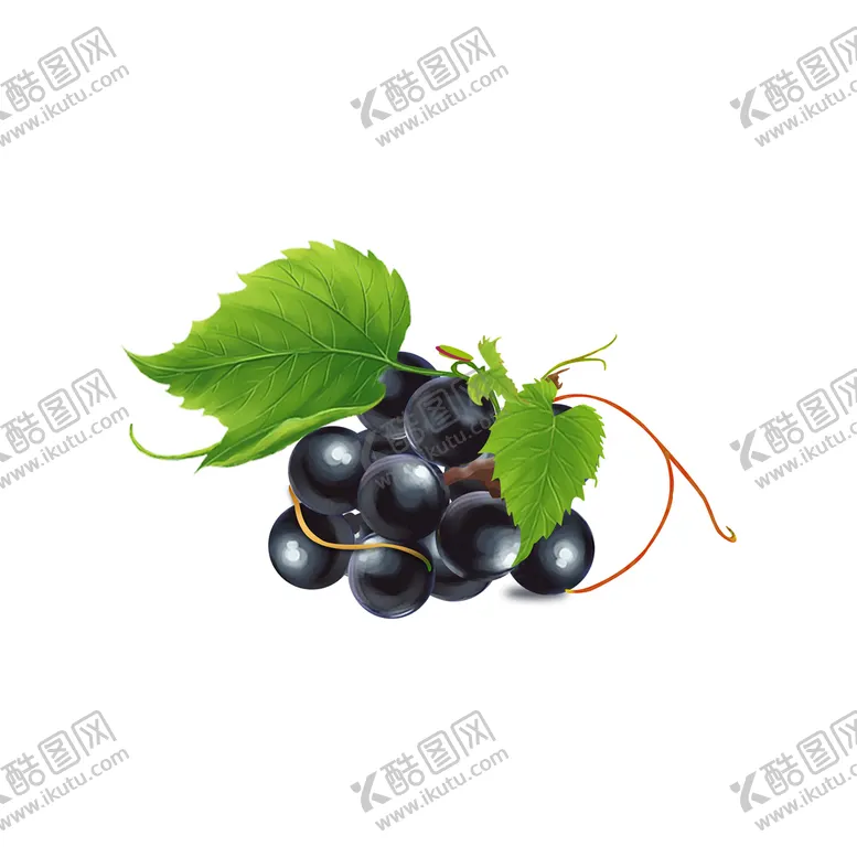 编号：47915911211404535247【酷图网】源文件下载-葡萄
