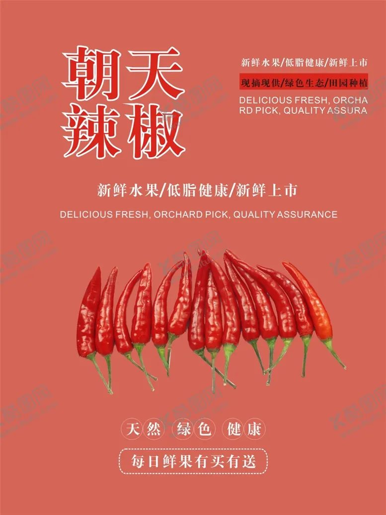 编号：49260701181817184969【酷图网】源文件下载-朝天椒海报