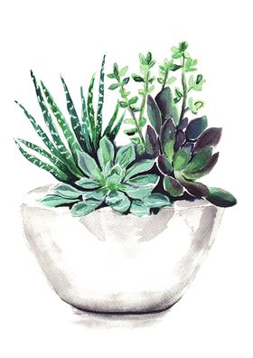 绿色植物小清新树叶免扣玫瑰