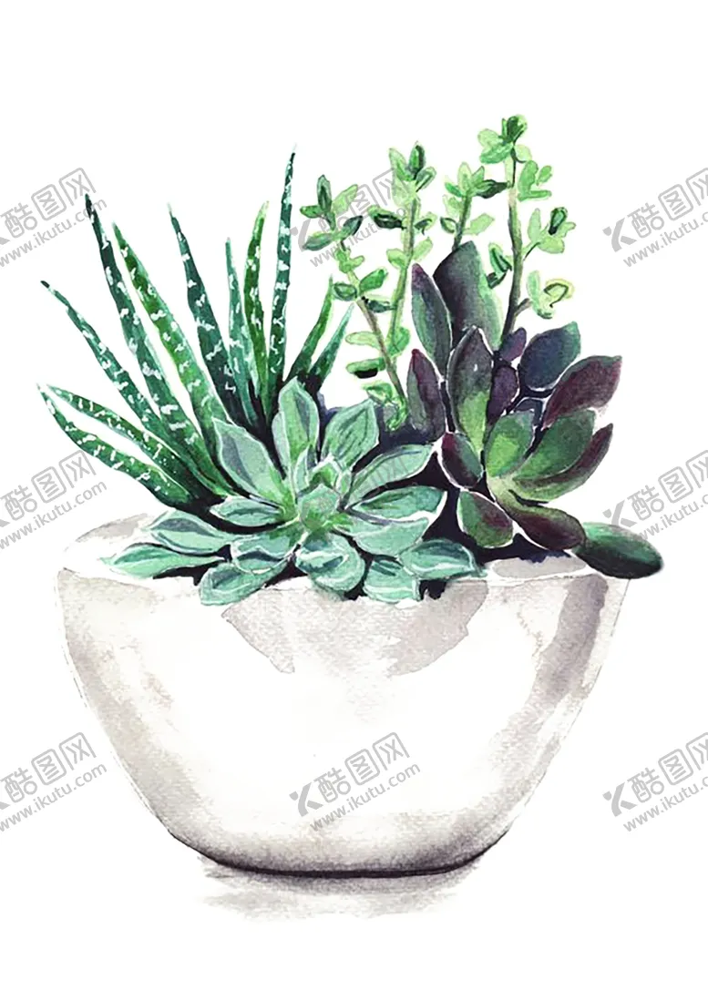 绿色植物小清新树叶免扣玫瑰