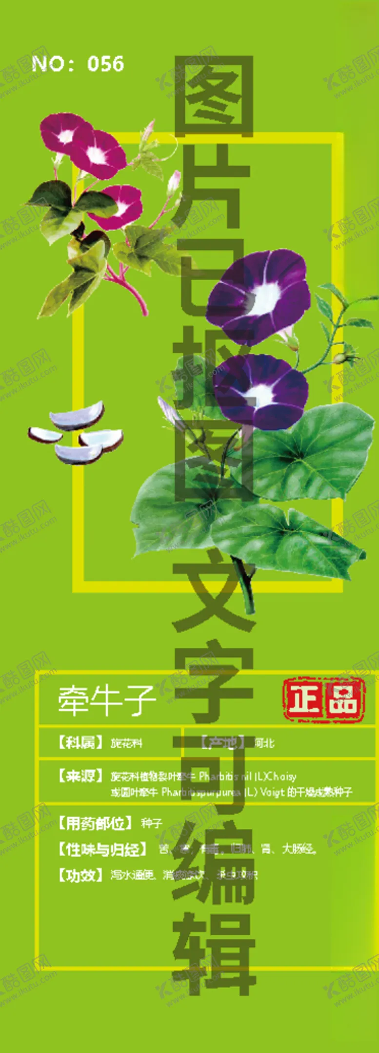 编号：56859504081233095182【酷图网】源文件下载-牵牛子
