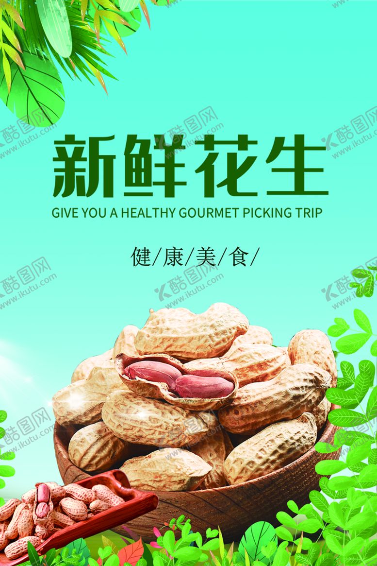 编号：58420309230028022573【酷图网】源文件下载-花生 