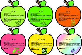 植物牌种植苹果异型卡通