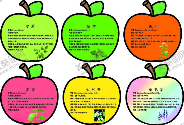 编号：94710311020713145152【酷图网】源文件下载-植物牌种植苹果异型卡通