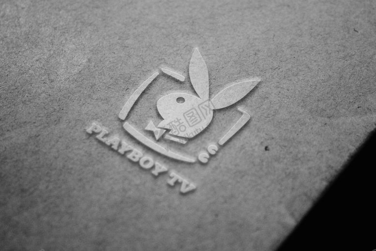 编号：84761709201128259592【酷图网】源文件下载-LOGO样机