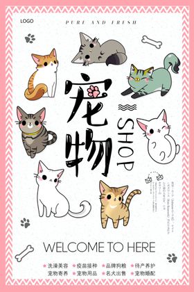 宠物