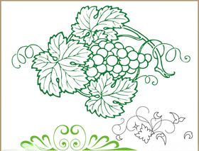 矢量葡萄时尚花纹花边