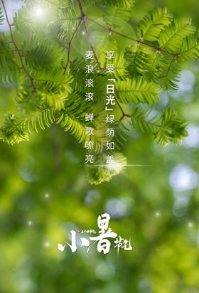 小暑