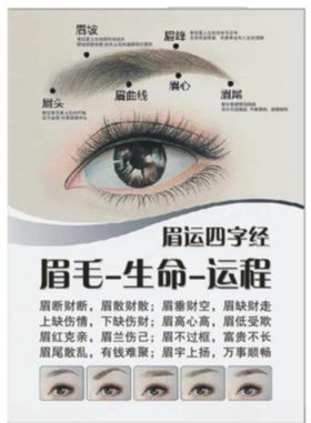 纹眉纹绣眉毛