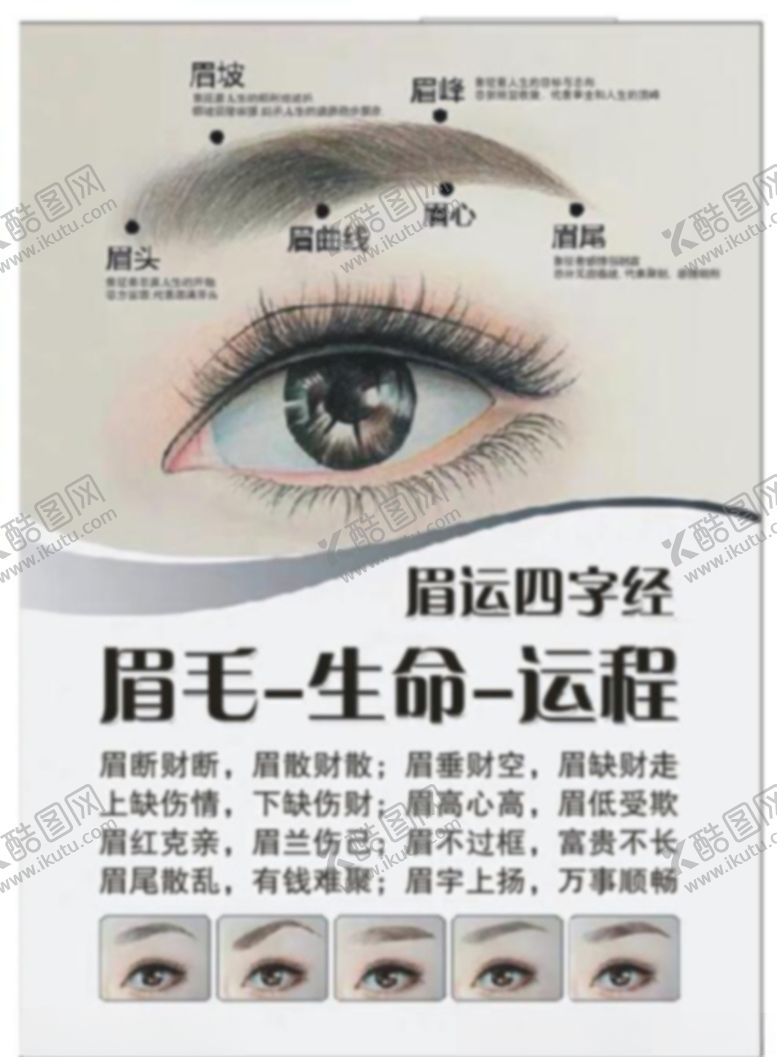 编号：69105809220524025422【酷图网】源文件下载-纹绣眉毛运程