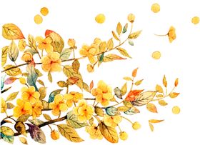 重阳节素材