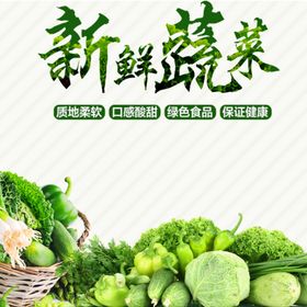 新鲜蔬菜