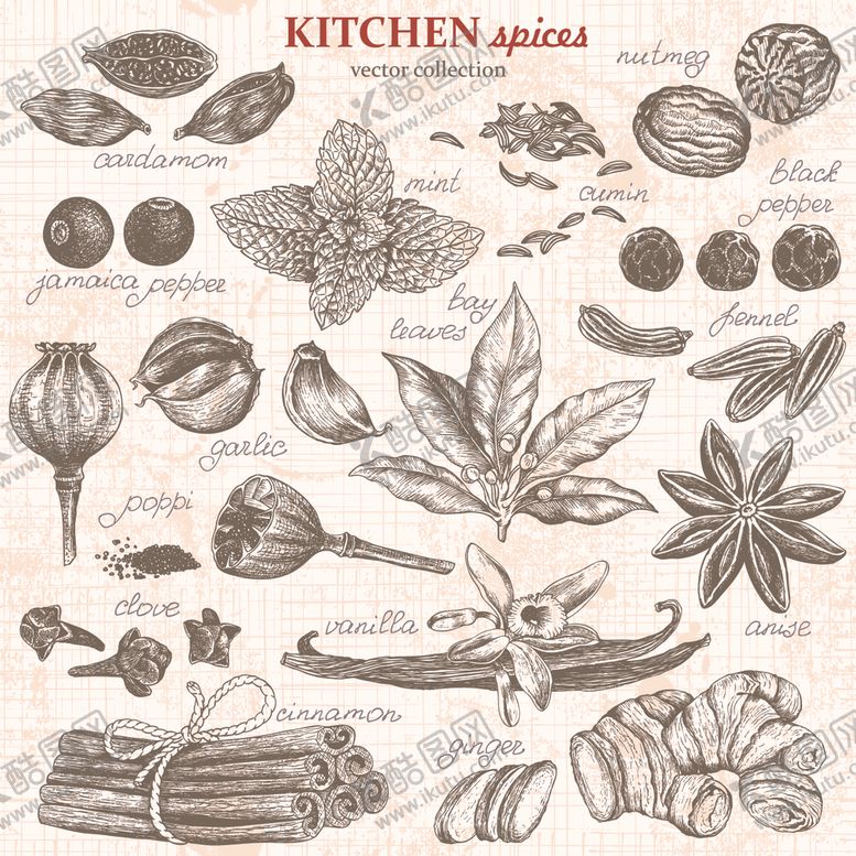 编号：68099709171649207742【酷图网】源文件下载-披萨