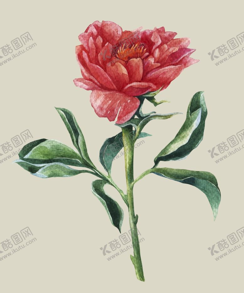 编号：42681807012350575476【酷图网】源文件下载-水彩植物