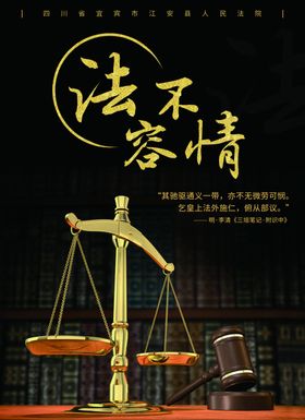 2020法不容情法律黑金海报