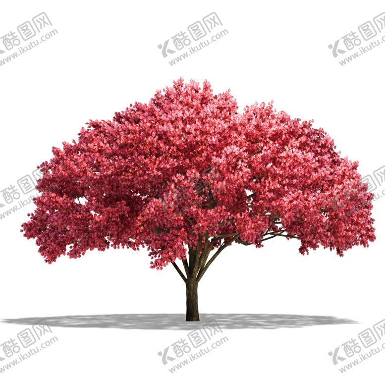 编号：84082610140635387404【酷图网】源文件下载-树木