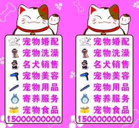 招财猫经营项目宠物