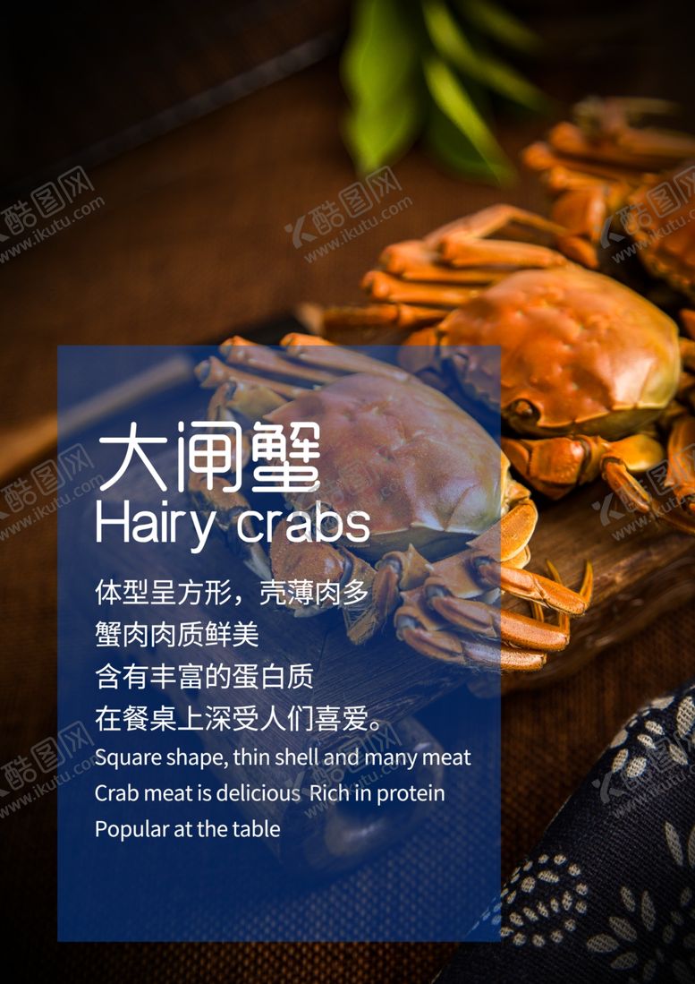编号：34755909231249537195【酷图网】源文件下载-大闸蟹