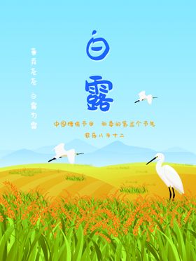 白露海报 中国风  传统节日