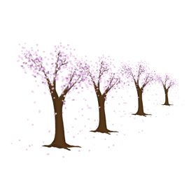 樱花素材日本白色公园
