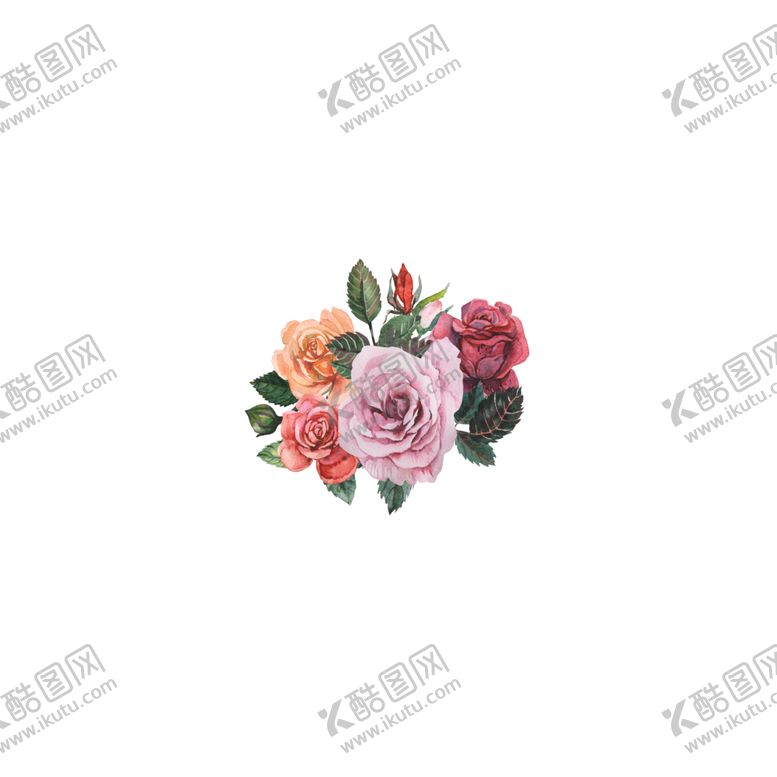 编号：33430502150907296569【酷图网】源文件下载-手绘植物花草