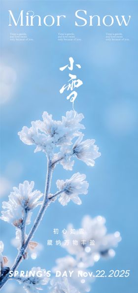 小雪大雪雪景冬至冷气意境白雪新年