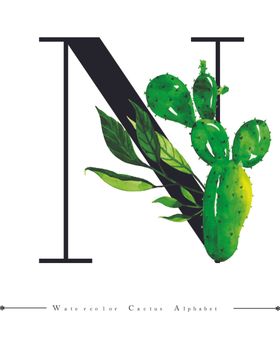 字母与水彩仙人掌组合字体