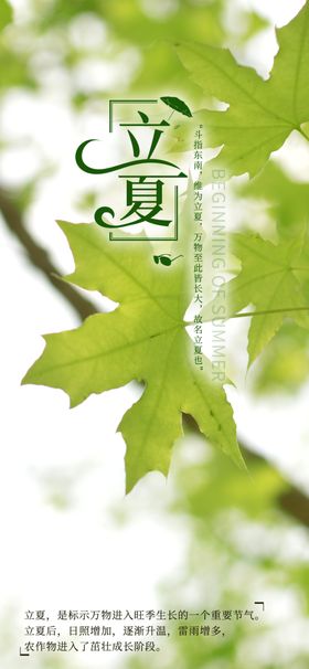立夏绿色树叶手机新媒体海报