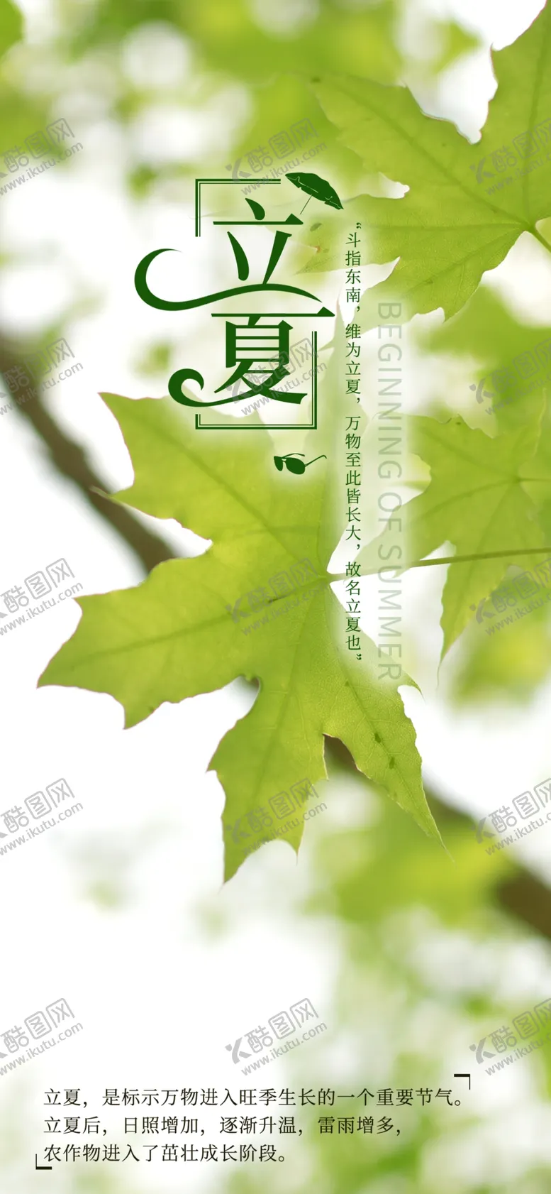 编号：11347007020205543205【酷图网】源文件下载-立夏绿色树叶手机新媒体海报