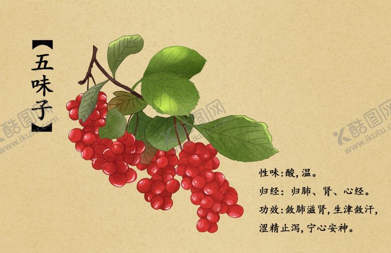 药材图谱中挂名贵中展板中海报中医中