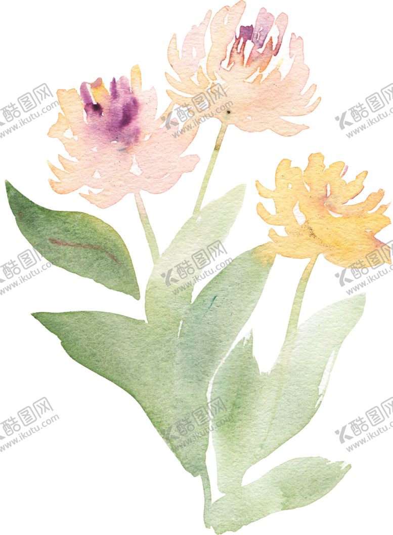 编号：78340501291536273793【酷图网】源文件下载-水彩手绘花朵