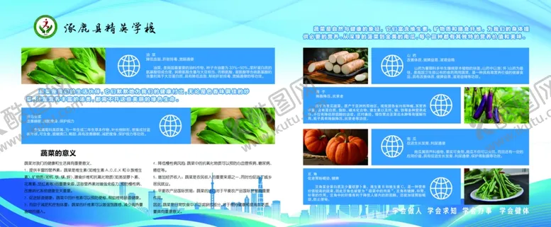 编号：46488802232029128192【酷图网】源文件下载-学校餐厅蔬菜营养价值