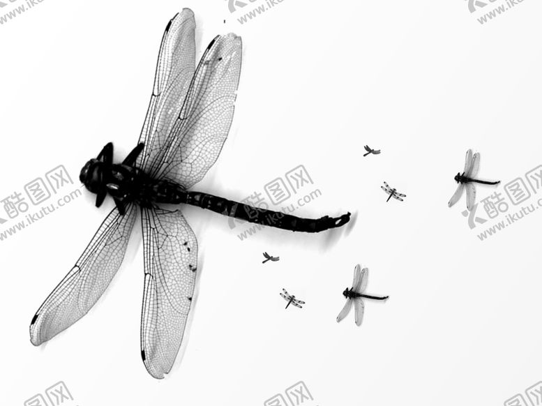 编号：89327609270037096756【酷图网】源文件下载-蜻蜓